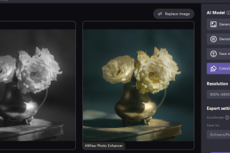 Get Rid of Image Noise with HitPaw Photo Enhancer: Step-by-Step Tutorial