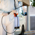 How to Choose a Pest Control Provider: Everything You Need to Know