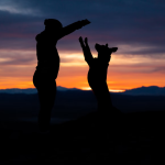 The Ultimate Guide to A Pet-Friendly Vacation in Pigeon Forge
