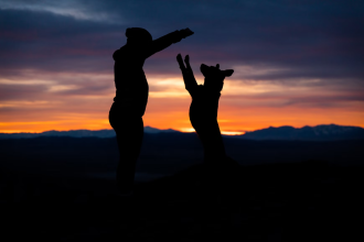 The Ultimate Guide to A Pet-Friendly Vacation in Pigeon Forge