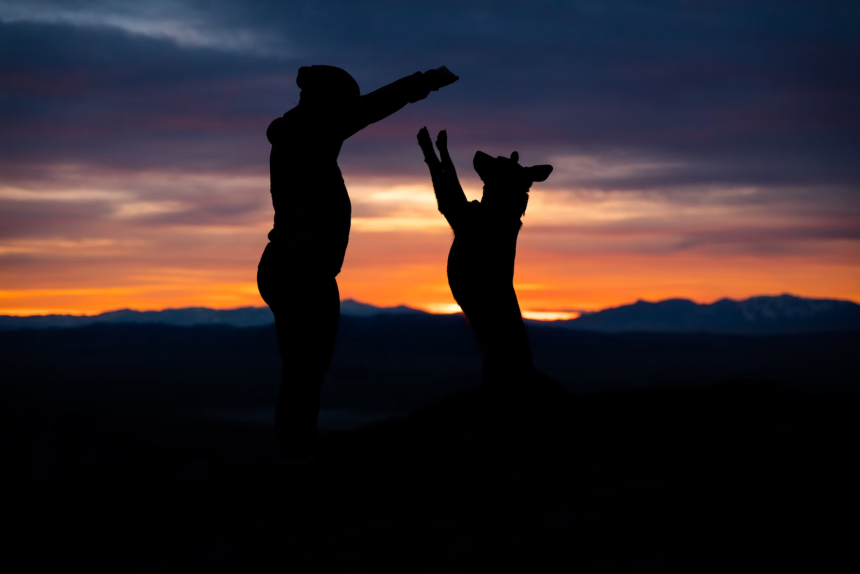 The Ultimate Guide to A Pet-Friendly Vacation in Pigeon Forge