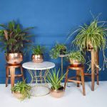 5 Tips for Selecting Wholesale Plant Pots