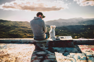 Pet Travel Destination