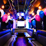 Party Bus Rental