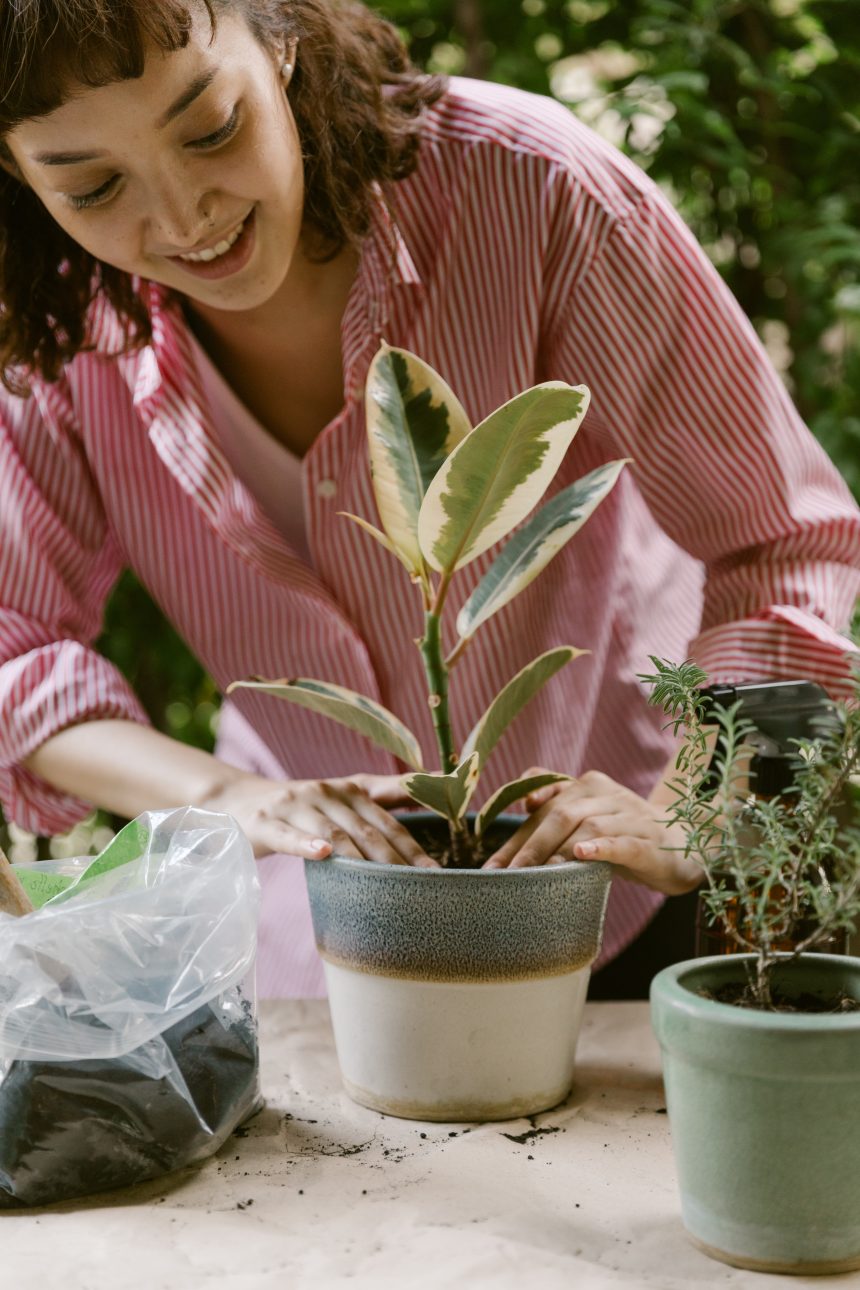 Mastering the Art of Pest Control: Effective Strategies for a Thriving Garden
