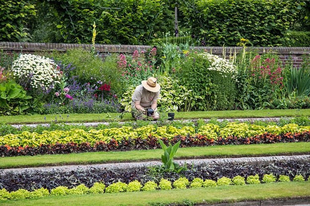 How to Find the Best Landscaping Company