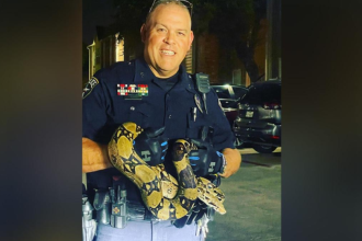Blocked by Escaping Python