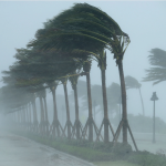 Why You Need a Hurricane Lawyer After a Storm