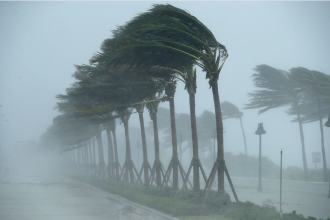 Why You Need a Hurricane Lawyer After a Storm