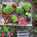How to Select the Ideal Pots and Planters for Your Outdoor Plants