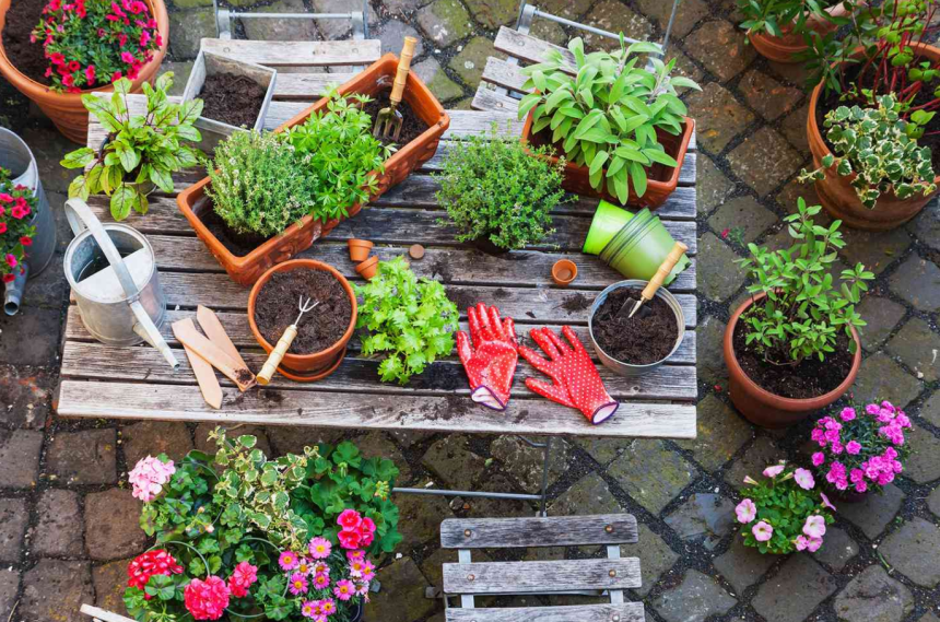 How to Select the Ideal Pots and Planters for Your Outdoor Plants