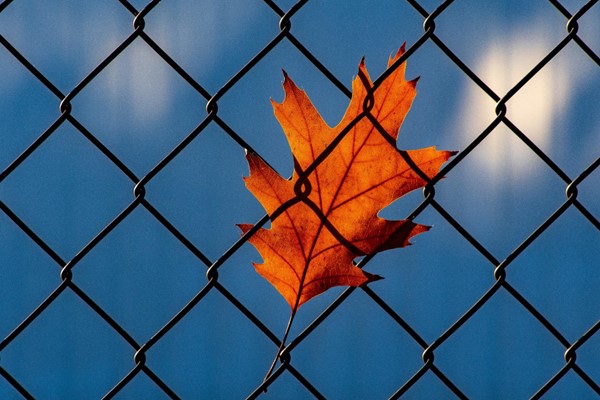 The Role of Rehabilitation in the Criminal Justice System