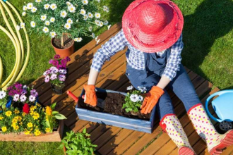 Unusual Hobbies You Could Take Up If You Have a Large Garden