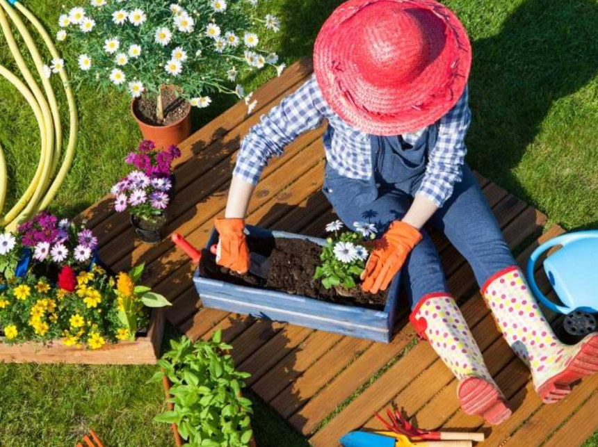 Unusual Hobbies You Could Take Up If You Have a Large Garden