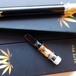 A Beginner's Guide to Choosing the Best Disposable CBD Vape Pen