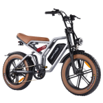 Ebikes