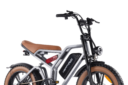 Ebikes