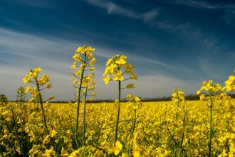 How Farm Equipment in Manitoba Adapts to Extreme Climates