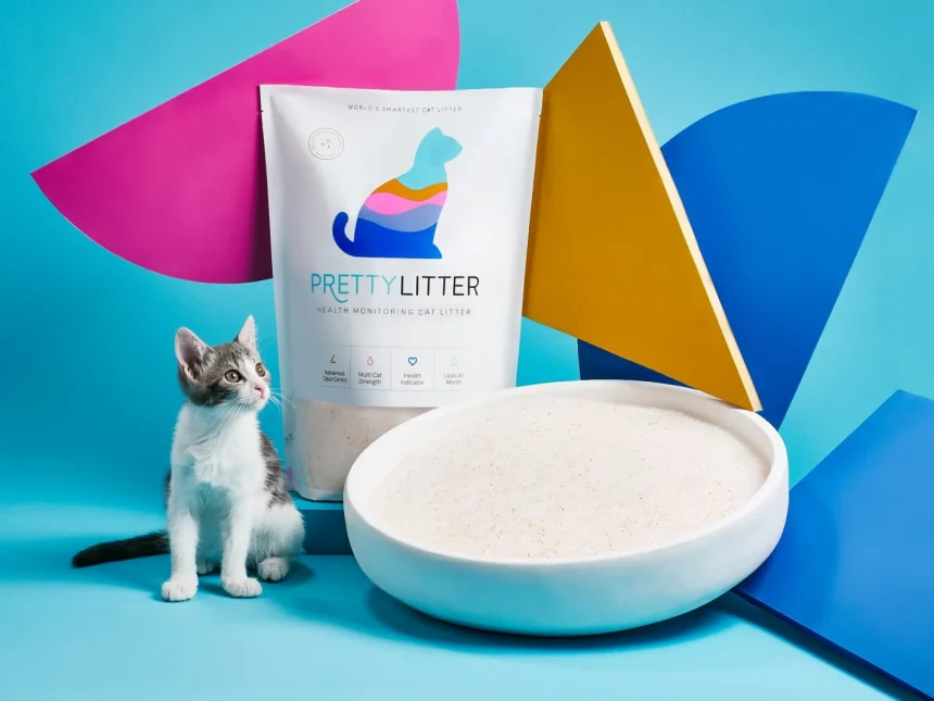 Pretty Litter Reviews: Is This Cat Litter Worth It?