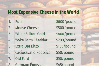 The Most Expensive Cheese In The World
