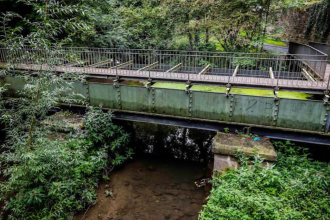 Throws 10-Year-Old off Bridge