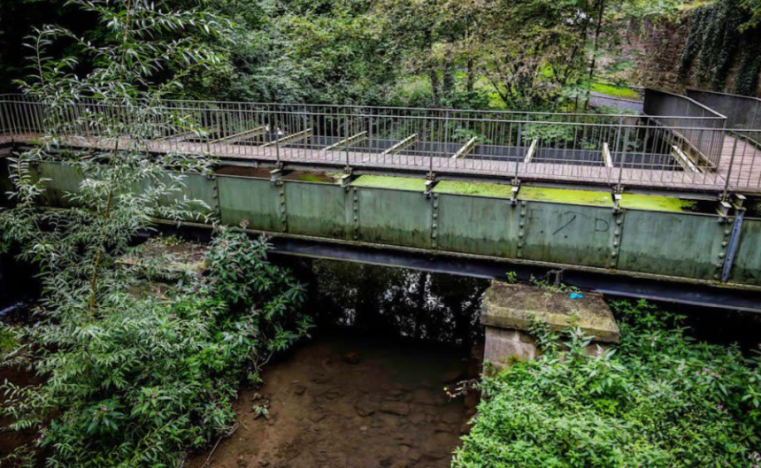 Throws 10-Year-Old off Bridge