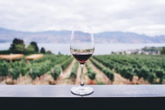 What Are the Main Steps to Starting a Winery?