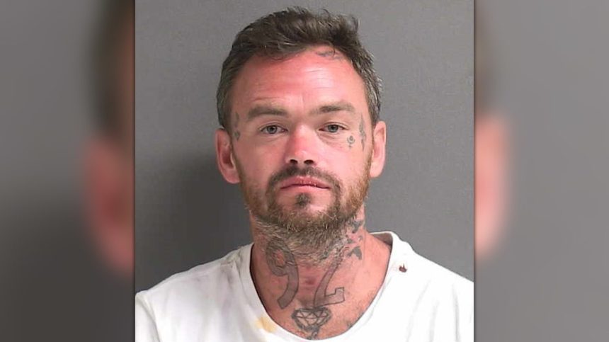 Florida man accused of carjacking woman at gas station