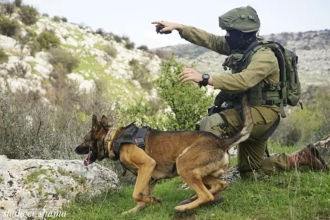 Heroic Israeli