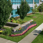 Key Benefits Of Investing In A Landscaping Franchise