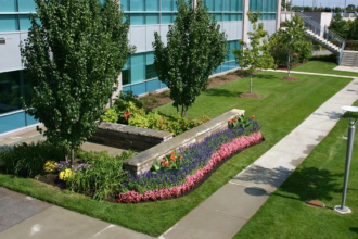 Key Benefits Of Investing In A Landscaping Franchise