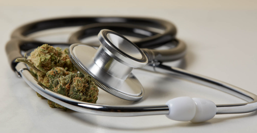 The Role of a Medical Marijuana Doctor: What You Need to Know