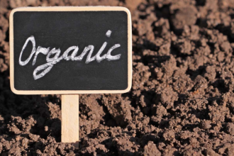 The Benefits of Going Organic: Advantages of Using Organic Fertilizers