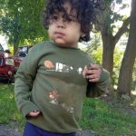 Search for Nonverbal