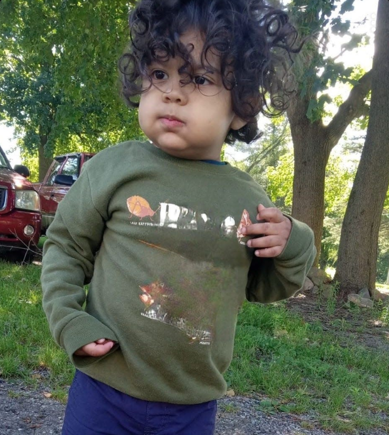 Search for Nonverbal