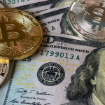 Crypto vs. Fiat: The Gamblers' Dilemma