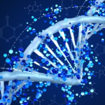 Artificial/Synthetic Peptide: A Helpful Guide
