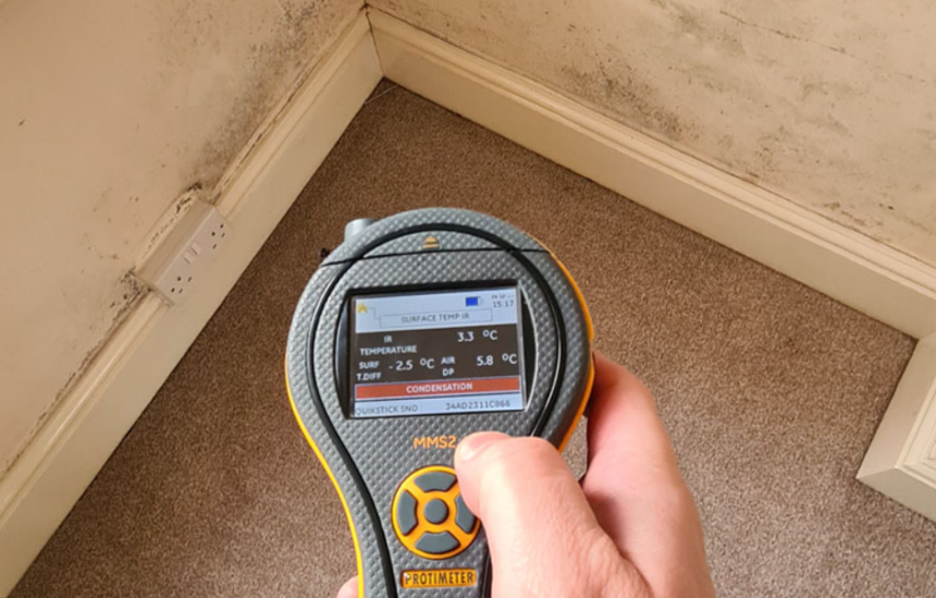 Exploring the World of Damp Surveyors