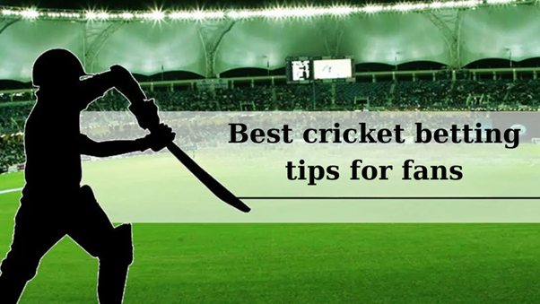 Best Cricket Betting Tips For Fans