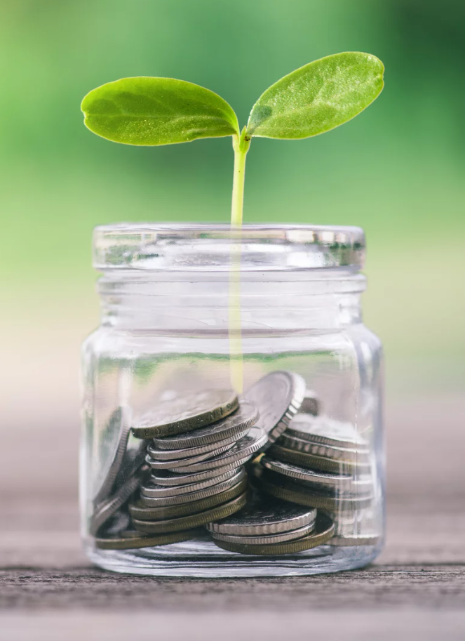 The Difference Between Frugal and Thrifty