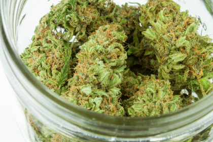 Gaining a Greater Understanding of THCA: Exploring Its Benefits