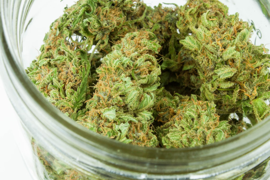 Gaining a Greater Understanding of THCA: Exploring Its Benefits