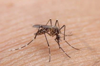 21 dead and 600 infected in Mali dengue outbreak.