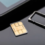 A Comprehensive Look at Month-to-Month Phone Plans