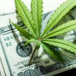 From Selection to Delivery: Guide on How to Order Weed Online in Bulk