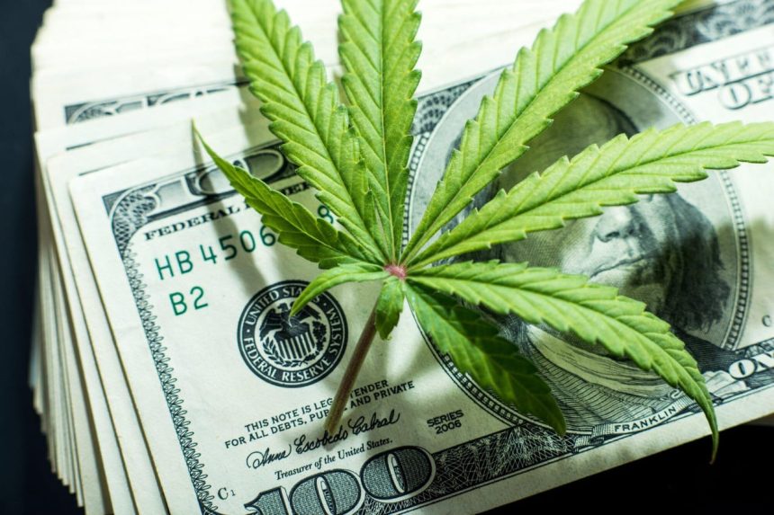 From Selection to Delivery: Guide on How to Order Weed Online in Bulk