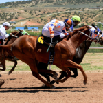 International Bettors' Guide to Pegasus World Cup 2024