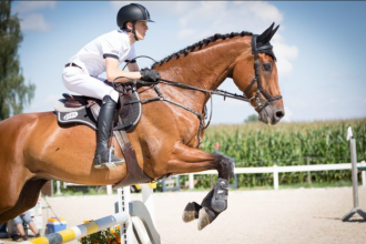 Make Your Mallorca Vacation Unforgettable | Horse Riding on the Beach