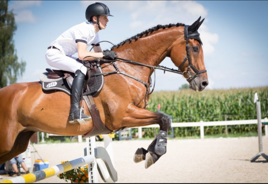 Make Your Mallorca Vacation Unforgettable | Horse Riding on the Beach