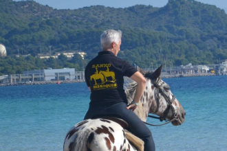 Make Your Mallorca Vacation Unforgettable | Horse Riding on the Beach
